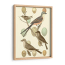 Pájaros Británicos Y Huevos I - Vision Studio | Cuadro decorativo de Canvas Lab