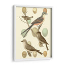 Pájaros Británicos Y Huevos I - Vision Studio | Cuadro decorativo de Canvas Lab