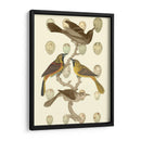 Pájaros Británicos Y Huevos Ii - Vision Studio | Cuadro decorativo de Canvas Lab
