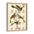 Pájaros Británicos Y Huevos Ii - Vision Studio | Cuadro decorativo de Canvas Lab