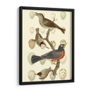 Pájaros Británicos Y Huevos Iii - Vision Studio | Cuadro decorativo de Canvas Lab