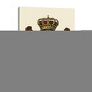 Regal Crest Iii - Vision Studio | Cuadro decorativo de Canvas Lab