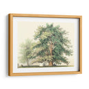 Roble Majestuoso | Cuadro decorativo de Canvas Lab