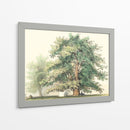 Roble Majestuoso | Cuadro decorativo de Canvas Lab