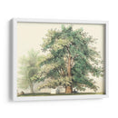 Roble Majestuoso | Cuadro decorativo de Canvas Lab