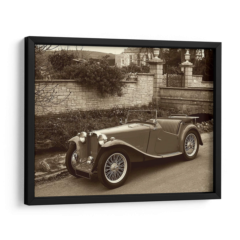 Vintage Cars Ii - Vision Studio | Cuadro decorativo de Canvas Lab