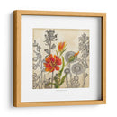 Lirio Emergente - Megan Meagher | Cuadro decorativo de Canvas Lab