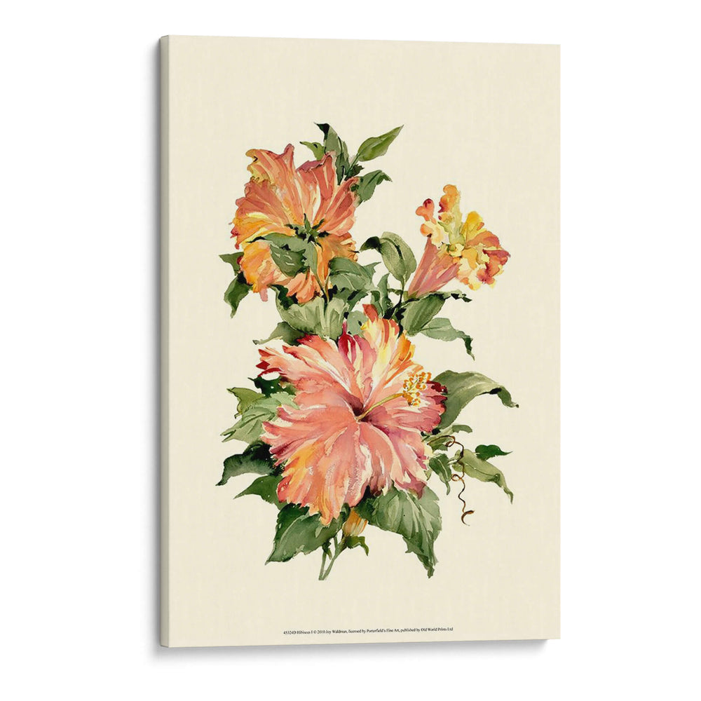 Hibisco I - Joy Waldman | Cuadro decorativo de Canvas Lab