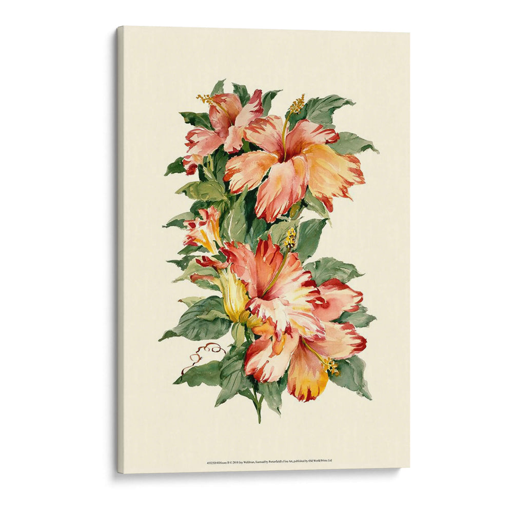 Hibiscus Ii - Joy Waldman | Cuadro decorativo de Canvas Lab