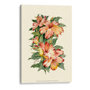 Hibiscus Ii - Joy Waldman | Cuadro decorativo de Canvas Lab