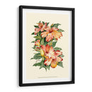 Hibiscus Ii - Joy Waldman | Cuadro decorativo de Canvas Lab