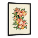 Hibiscus Ii - Joy Waldman | Cuadro decorativo de Canvas Lab