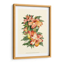 Hibiscus Ii - Joy Waldman | Cuadro decorativo de Canvas Lab