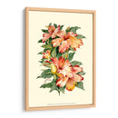 Hibiscus Ii - Joy Waldman | Cuadro decorativo de Canvas Lab