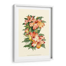 Hibiscus Ii - Joy Waldman | Cuadro decorativo de Canvas Lab