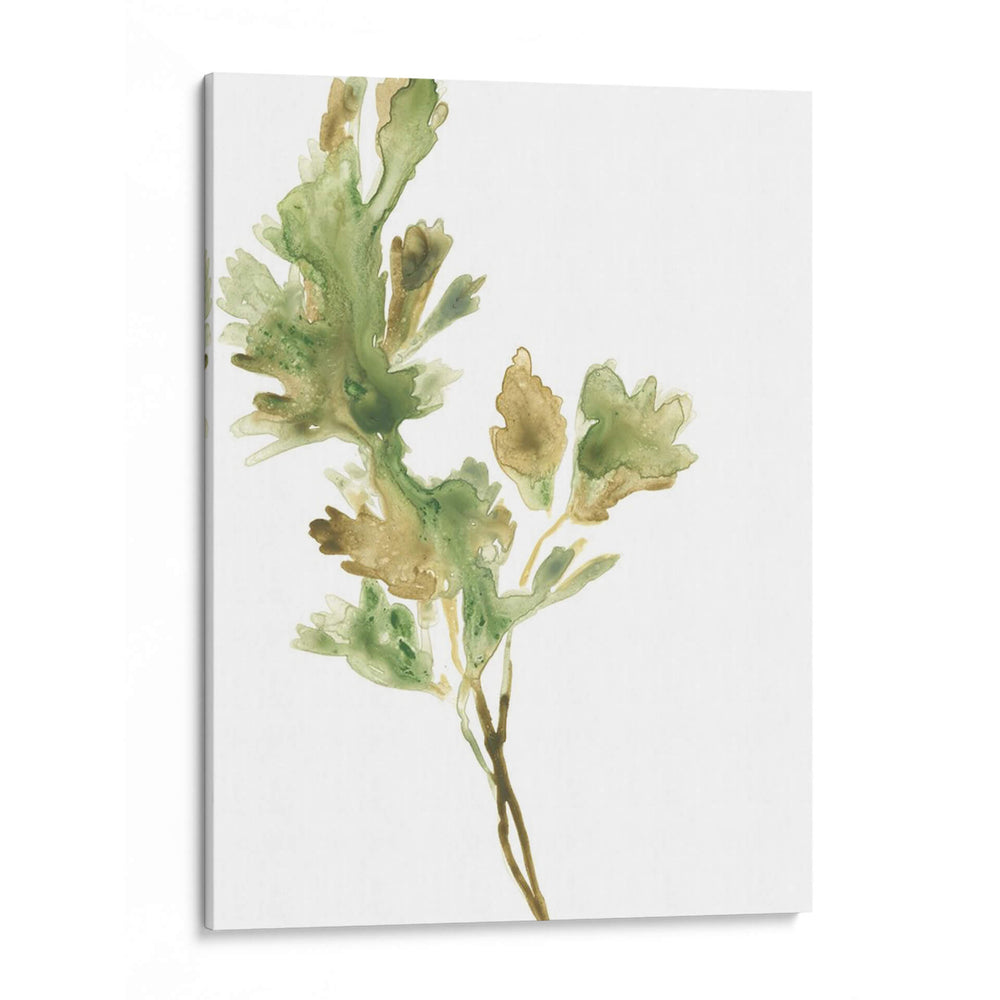 Hierbas Earthtone I - June Erica Vess | Cuadro decorativo de Canvas Lab