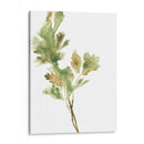 Hierbas Earthtone I - June Erica Vess | Cuadro decorativo de Canvas Lab