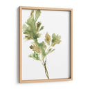 Hierbas Earthtone I - June Erica Vess | Cuadro decorativo de Canvas Lab