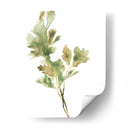 Hierbas Earthtone I - June Erica Vess | Cuadro decorativo de Canvas Lab