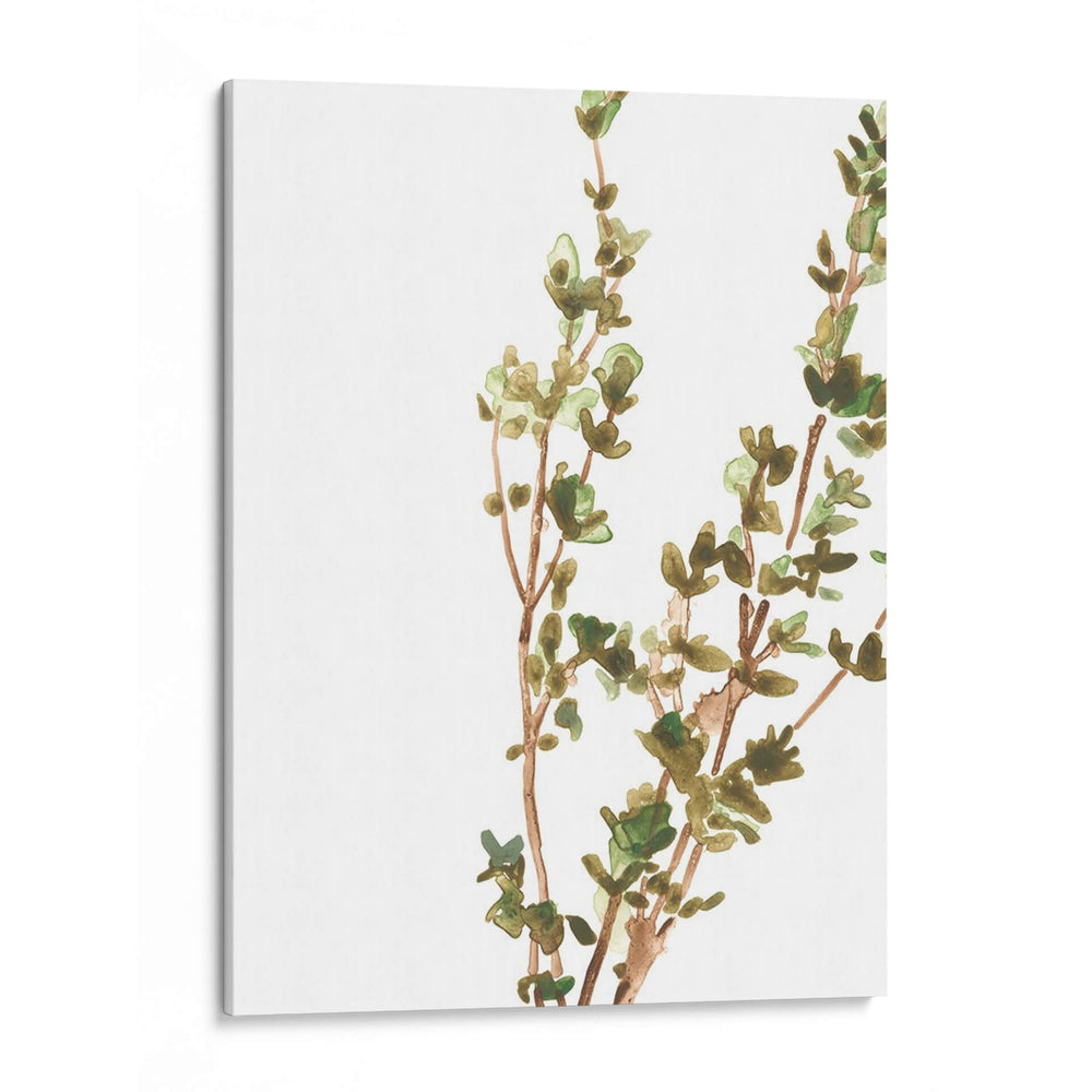 Hierbas Earthtone Ii - June Erica Vess | Cuadro decorativo de Canvas Lab
