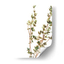 Hierbas Earthtone Ii - June Erica Vess | Cuadro decorativo de Canvas Lab