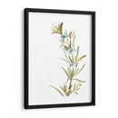 Hierbas Earthtone Iii - June Erica Vess | Cuadro decorativo de Canvas Lab