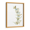 Hierbas Earthtone Iii - June Erica Vess | Cuadro decorativo de Canvas Lab