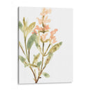 Hierbas Earthtone Iv - June Erica Vess | Cuadro decorativo de Canvas Lab