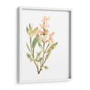 Hierbas Earthtone Iv - June Erica Vess | Cuadro decorativo de Canvas Lab