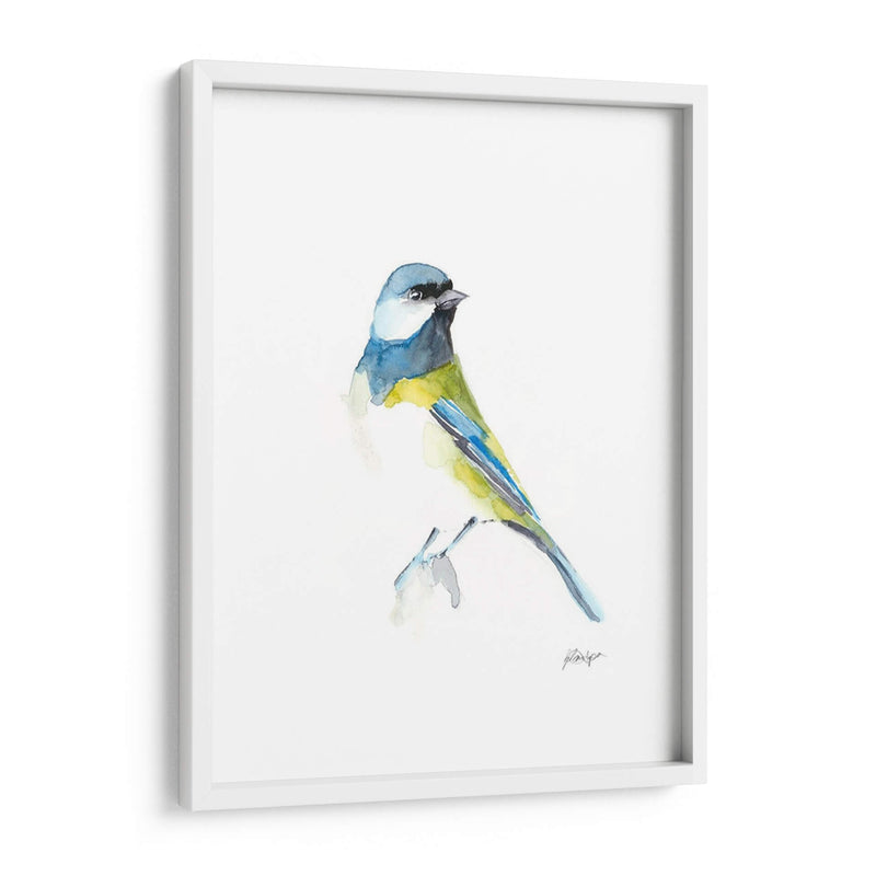 Acuarela Songbirds I - Ethan Harper | Cuadro decorativo de Canvas Lab