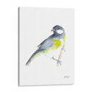 Acuarela Songbirds Ii - Ethan Harper | Cuadro decorativo de Canvas Lab
