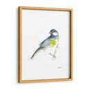 Acuarela Songbirds Ii - Ethan Harper | Cuadro decorativo de Canvas Lab