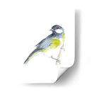 Acuarela Songbirds Ii - Ethan Harper | Cuadro decorativo de Canvas Lab