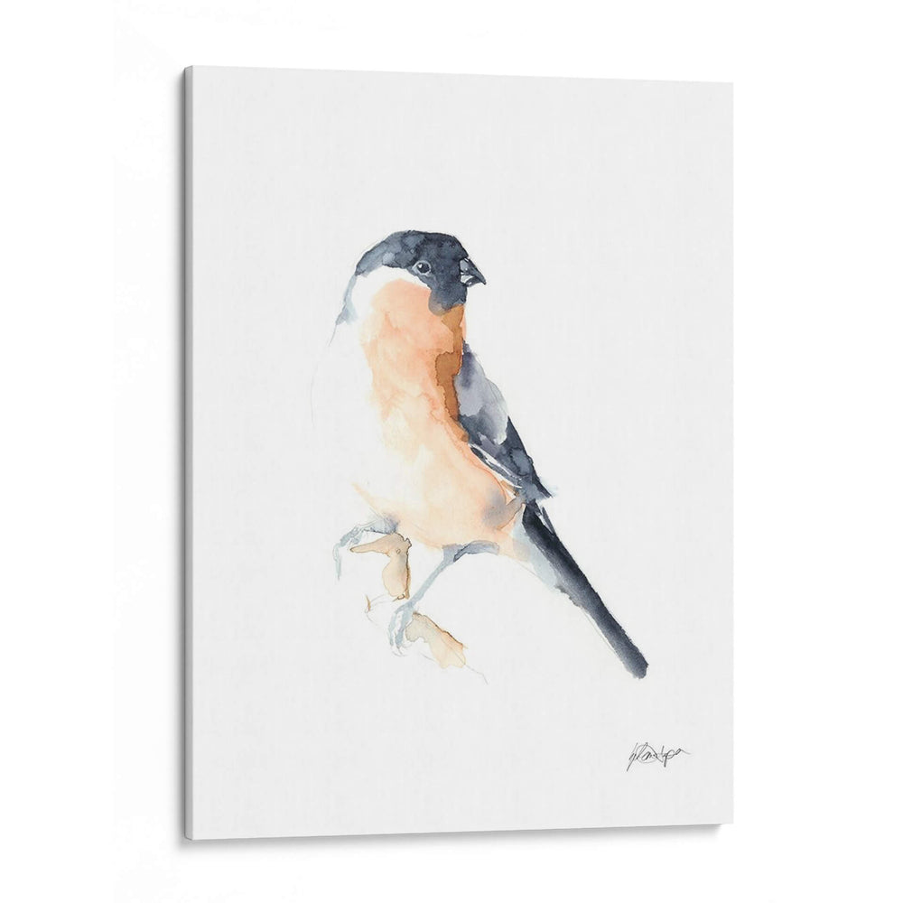 Acuarela Songbirds V - Ethan Harper | Cuadro decorativo de Canvas Lab