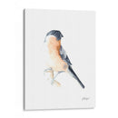 Acuarela Songbirds V - Ethan Harper | Cuadro decorativo de Canvas Lab