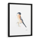 Acuarela Songbirds V - Ethan Harper | Cuadro decorativo de Canvas Lab