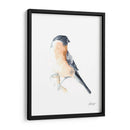 Acuarela Songbirds V - Ethan Harper | Cuadro decorativo de Canvas Lab