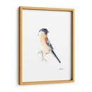 Acuarela Songbirds V - Ethan Harper | Cuadro decorativo de Canvas Lab