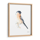 Acuarela Songbirds V - Ethan Harper | Cuadro decorativo de Canvas Lab