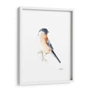 Acuarela Songbirds V - Ethan Harper | Cuadro decorativo de Canvas Lab