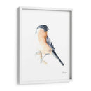 Acuarela Songbirds V - Ethan Harper | Cuadro decorativo de Canvas Lab