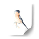 Acuarela Songbirds V - Ethan Harper | Cuadro decorativo de Canvas Lab