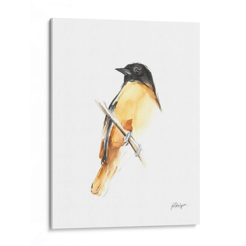 Acuarela Songbirds Vi - Ethan Harper | Cuadro decorativo de Canvas Lab