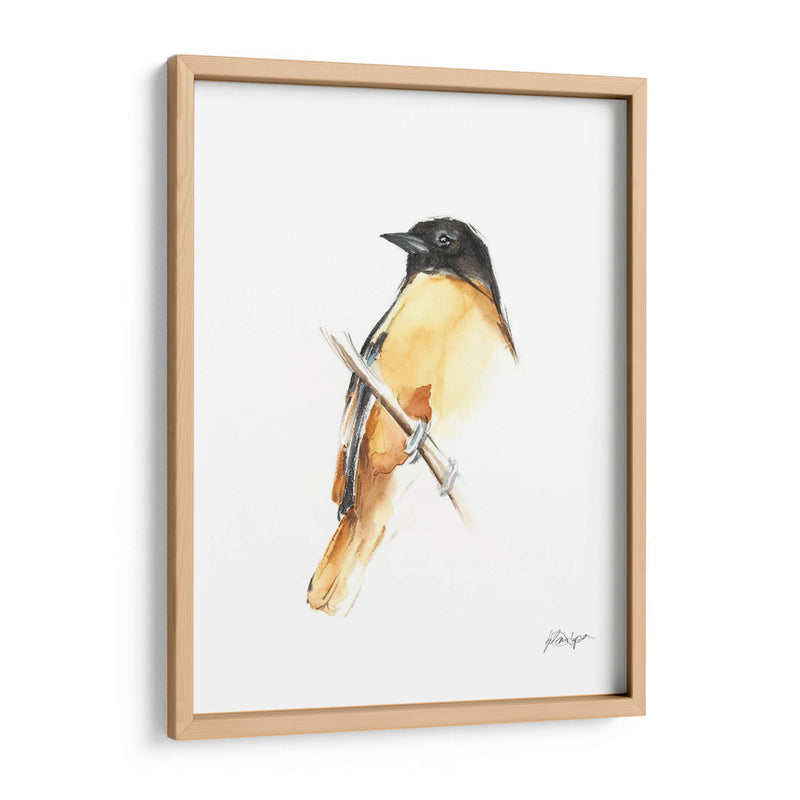 Acuarela Songbirds Vi - Ethan Harper | Cuadro decorativo de Canvas Lab