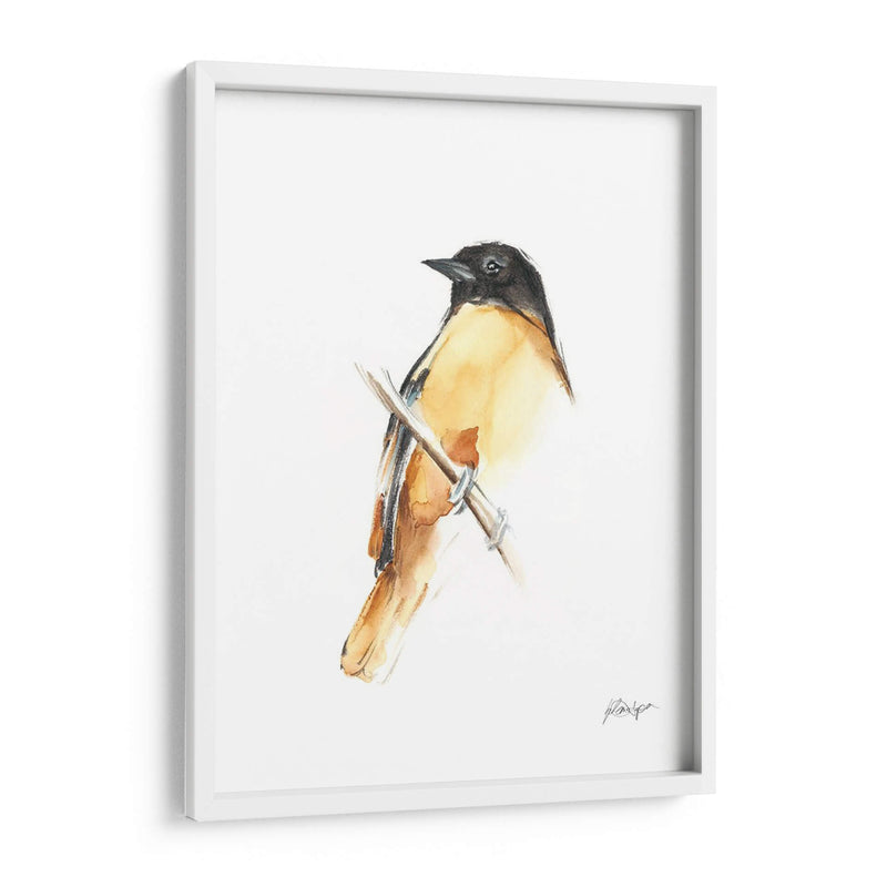 Acuarela Songbirds Vi - Ethan Harper | Cuadro decorativo de Canvas Lab