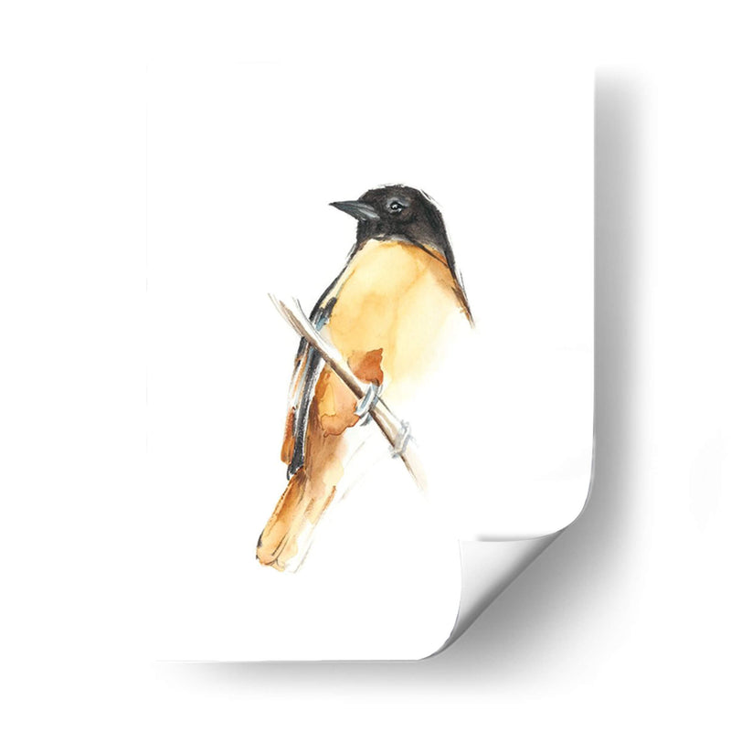 Acuarela Songbirds Vi - Ethan Harper | Cuadro decorativo de Canvas Lab