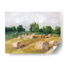 Campo De Heno I - Ethan Harper | Cuadro decorativo de Canvas Lab