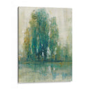 Paysage De Primavera I - Tim OToole | Cuadro decorativo de Canvas Lab