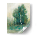 Primavera Paysage Ii - Tim OToole | Cuadro decorativo de Canvas Lab