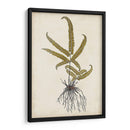 Fern Botanical Vi - Vision Studio | Cuadro decorativo de Canvas Lab